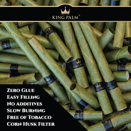 King Palm